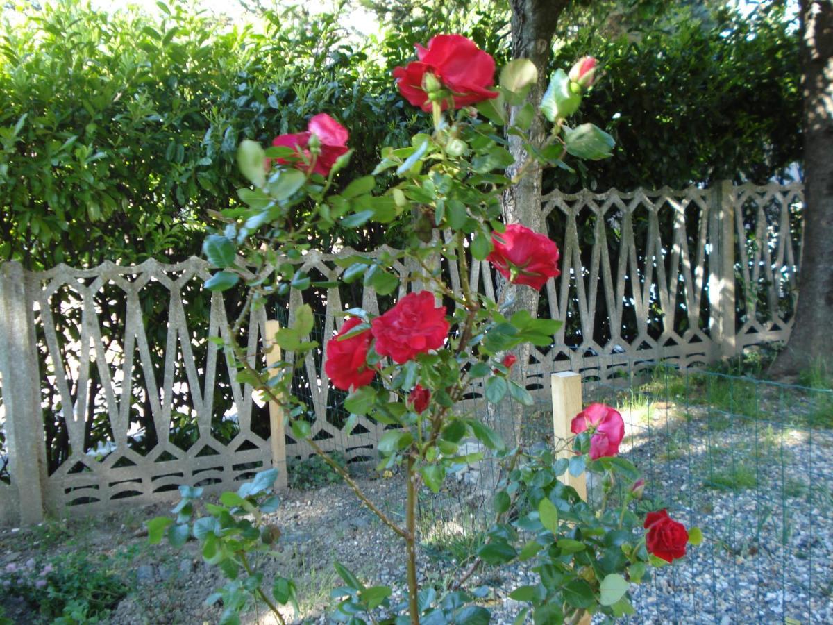 Casa T Bed And Breakfast & Home Restaurant Di Tacchino Simone Tagliolo Monferrato Dış mekan fotoğraf