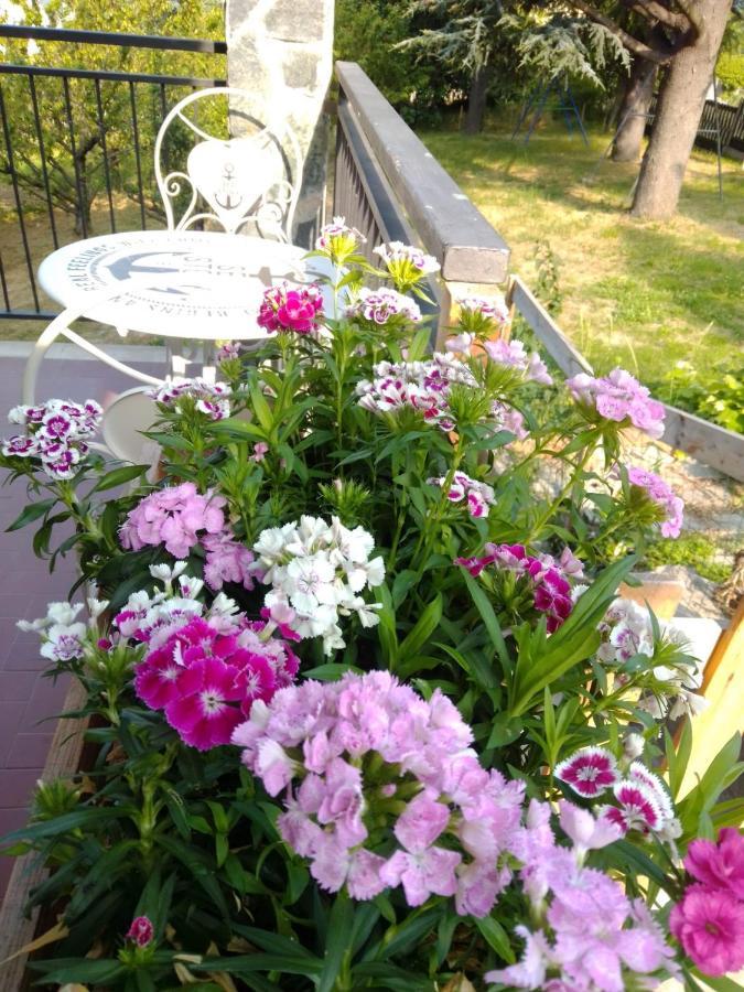 Casa T Bed And Breakfast & Home Restaurant Di Tacchino Simone Tagliolo Monferrato Dış mekan fotoğraf